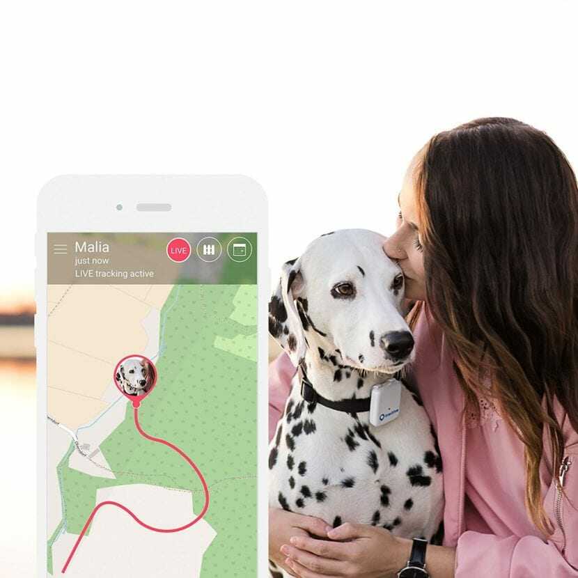 ¿Merecen la pena los collares GPS para perros? Lo que debes saber antes de comprar
